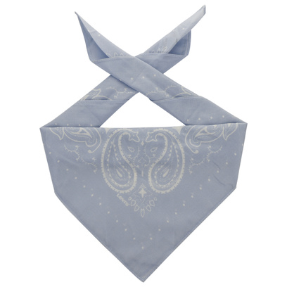 Paisley Bandana by Levi�s�