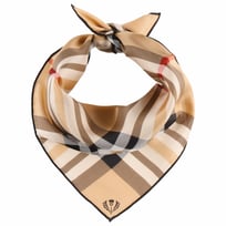 Classic Check Seidentuch by Fraas - 35,95 &euro;